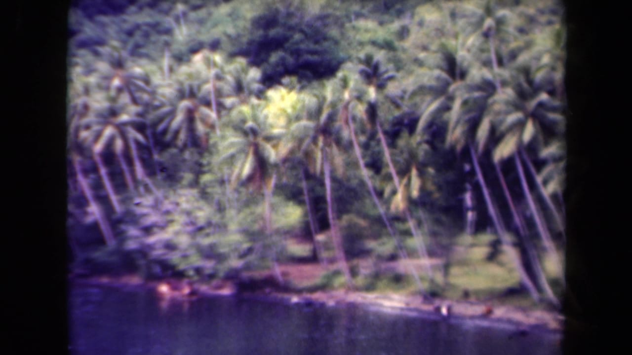1944 Papua New Guinea home-movie frame showing palms and dense vegetation beside a dark riverbank.