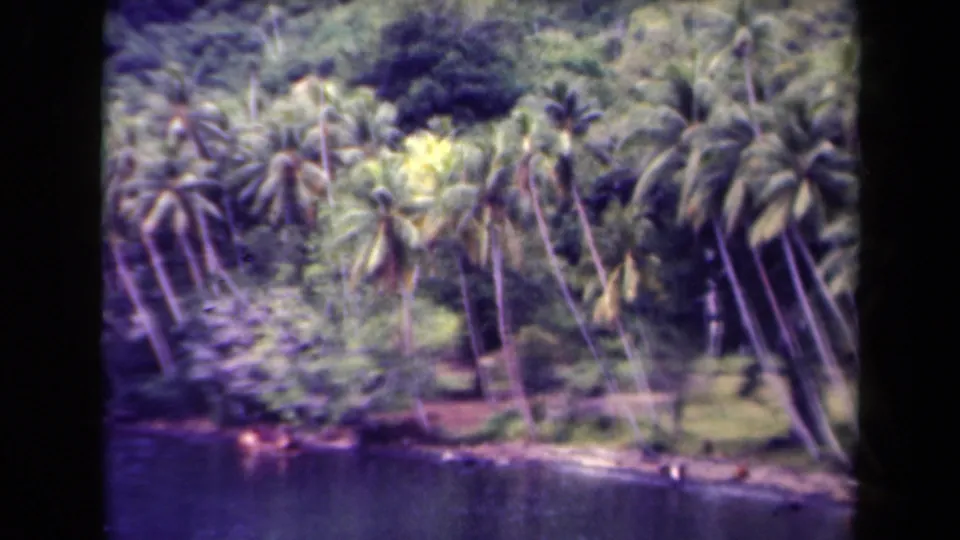 1944 Papua New Guinea home-movie frame showing palms and dense vegetation beside a dark riverbank.