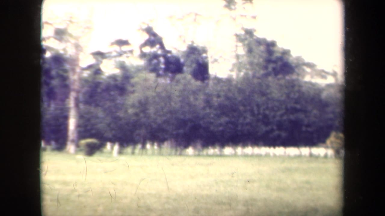 1944 Papua New Guinea frame with open grass, trees, and a pale sign structure partly visible at right.