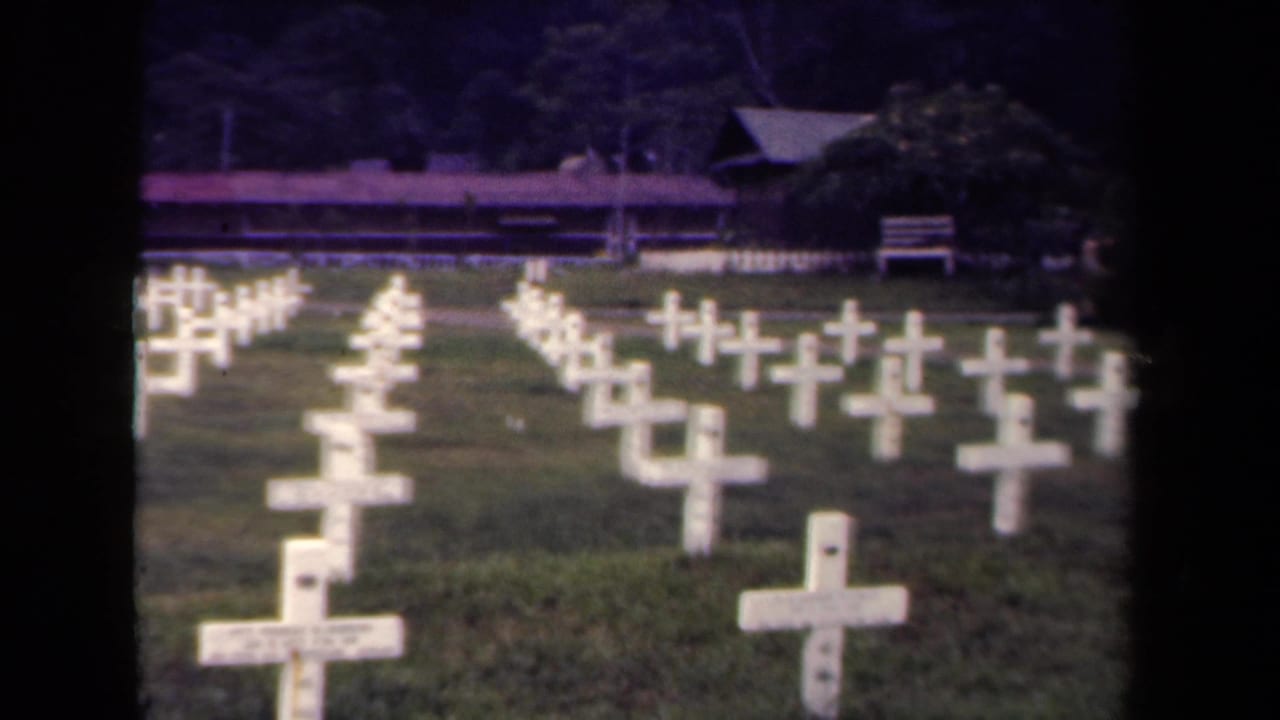 Orderly white grave crosses stand in grass, with trees and a small structure at the rear.