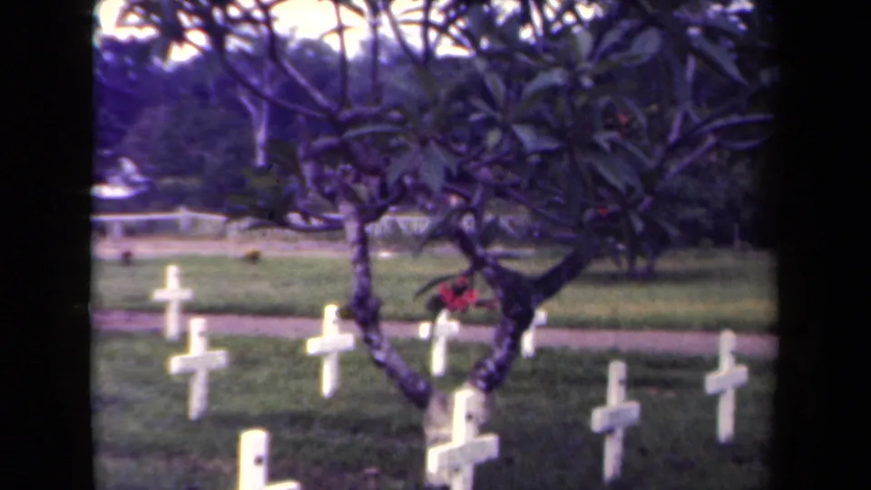 1940s Papua New Guinea 8mm frame of white wooden cemetery crosses viewed through a flowering tree, with grass and a path beyond.