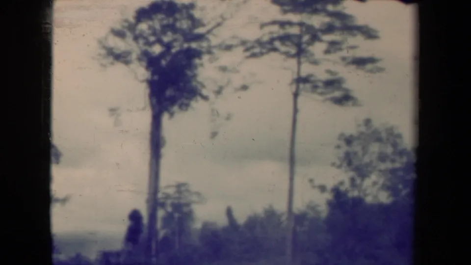 1940s Papua New Guinea 8mm landscape frame with tall trees, cloudy sky, and soft distant vegetation.