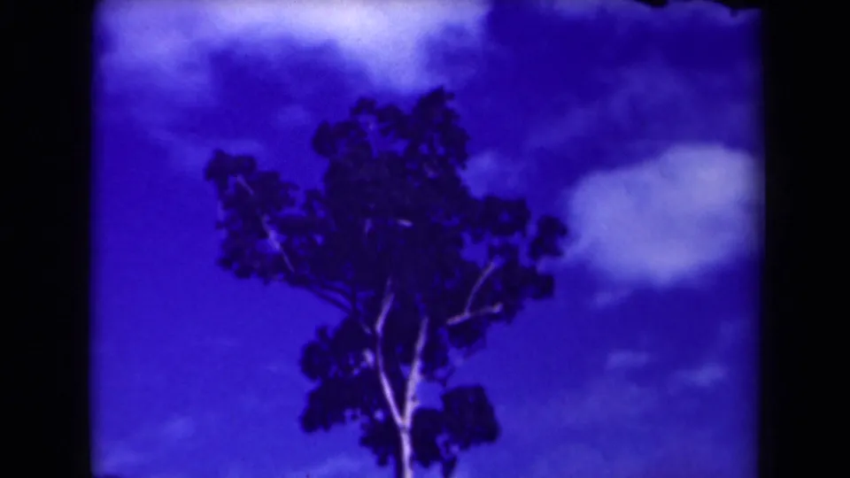 1944 Papua New Guinea 8mm frame showing a tall tree silhouette set against a purple-blue sky and soft cloud shapes.