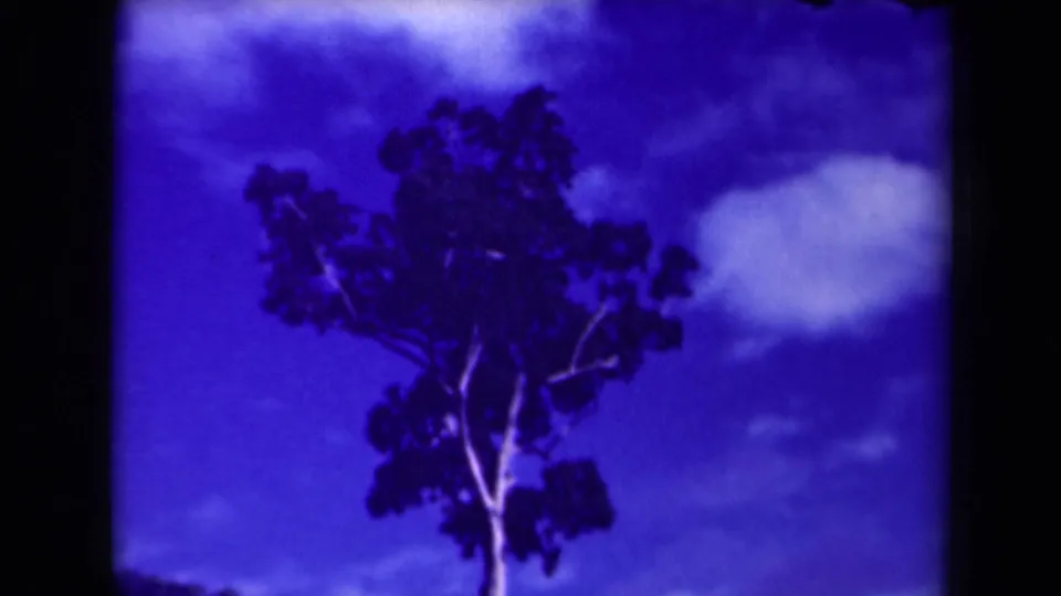1944 Papua New Guinea 8mm frame with a dark tree silhouette, pale cloud mass, and saturated purple-blue sky.