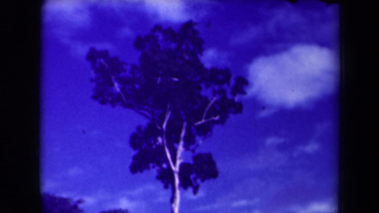 1944 8mm footage identified as Papua New Guinea shows a tall tree silhouetted against blue sky and scattered clouds.