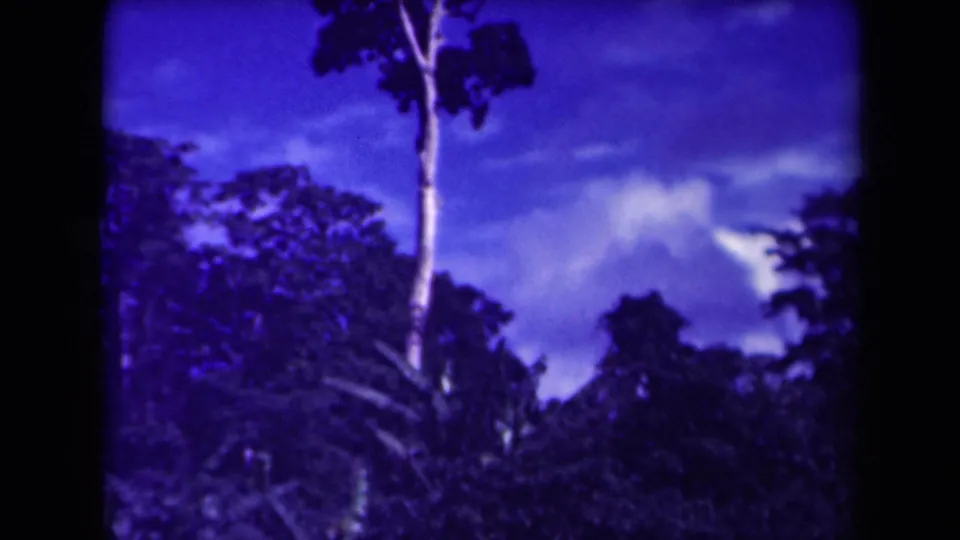 Final frame shows the tall tree and forest edge under a deep blue sky, in 1944 Papua New Guinea footage per metadata.