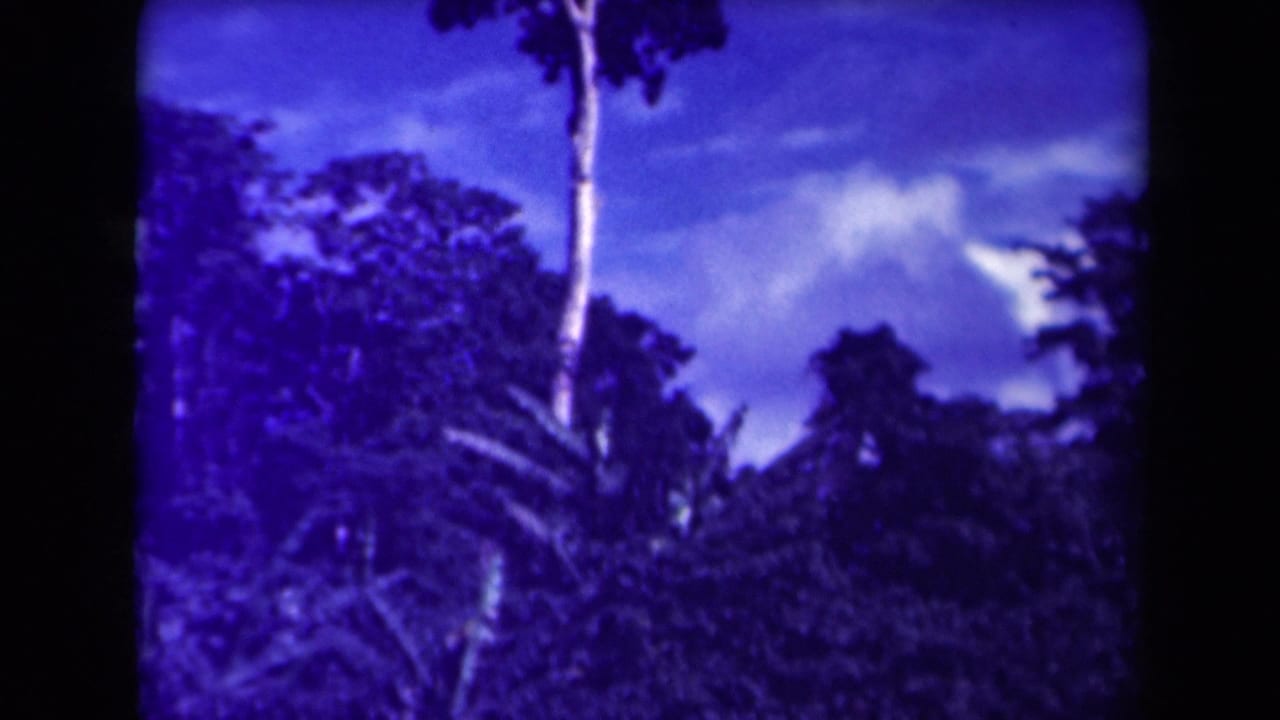 1944 Papua New Guinea home-movie frame showing dense jungle foliage, tall trees, and a clouded sky with a blue-purple film cast.