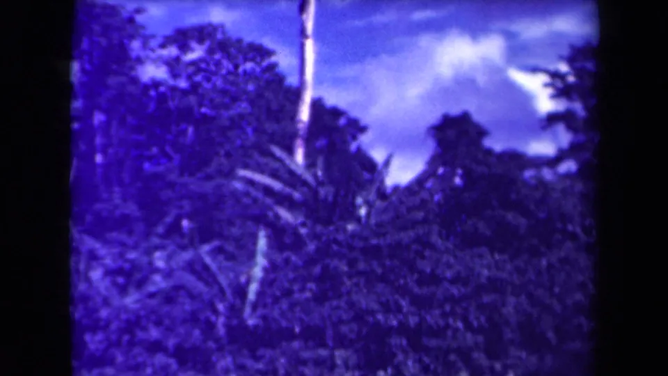 1944 Papua New Guinea frame with tropical treetops, palm-like fronds, and a bright clouded sky in aged 8mm color.