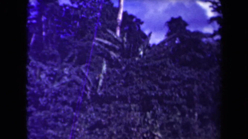 1944 Papua New Guinea home-movie frame showing shadowed jungle growth, tall trees, and cloudy sky with strong blue-purple aging.