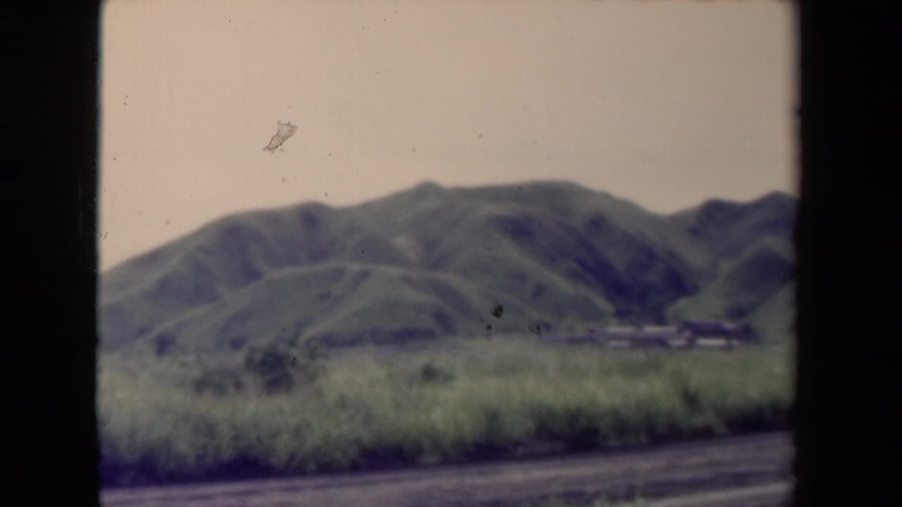 1944 Papua New Guinea 8mm frame showing rolling green hills behind tall roadside grass and a dirt road.