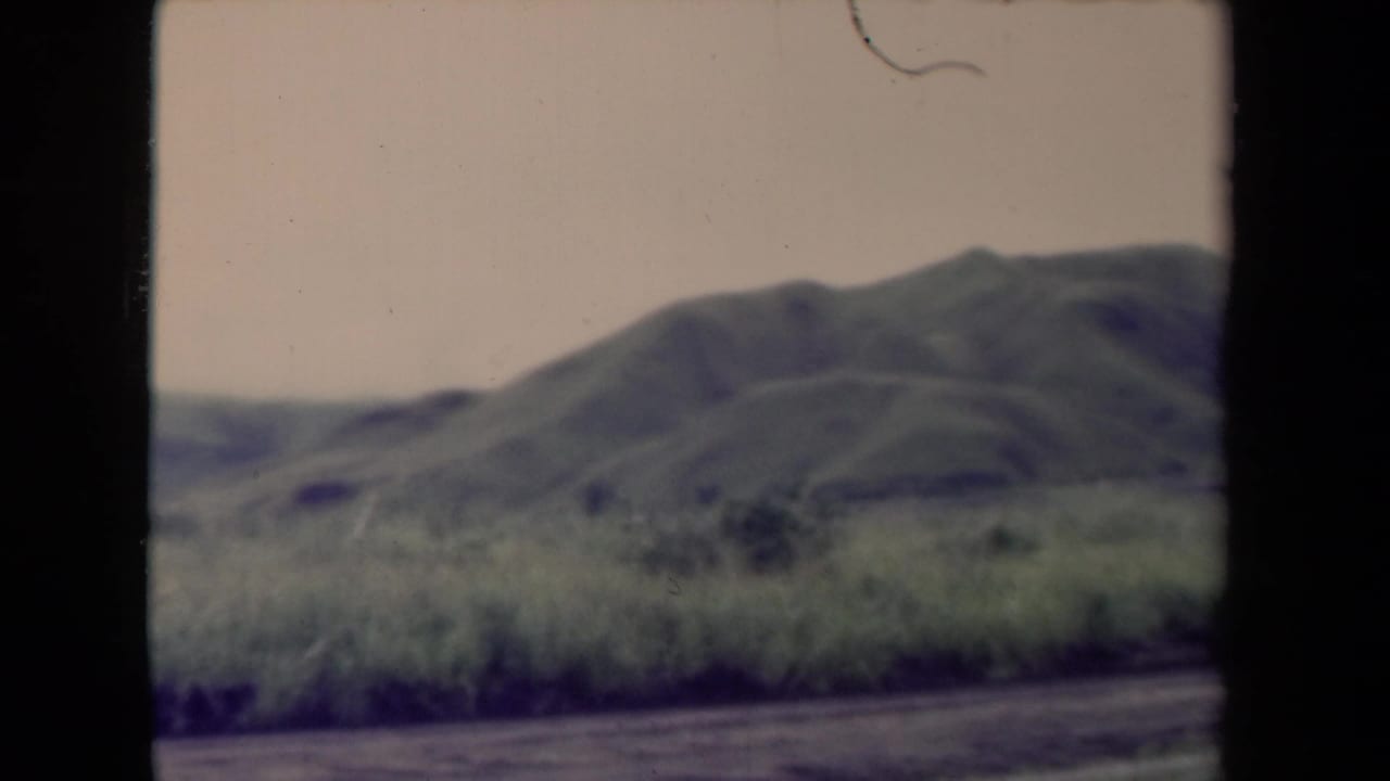Green hills and tall grass viewed across a dirt road.