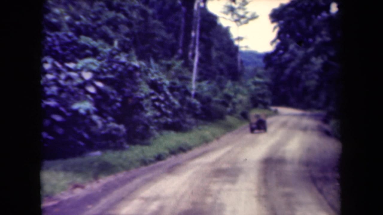 Small truck driving away on a dirt road through dense tropical forest.