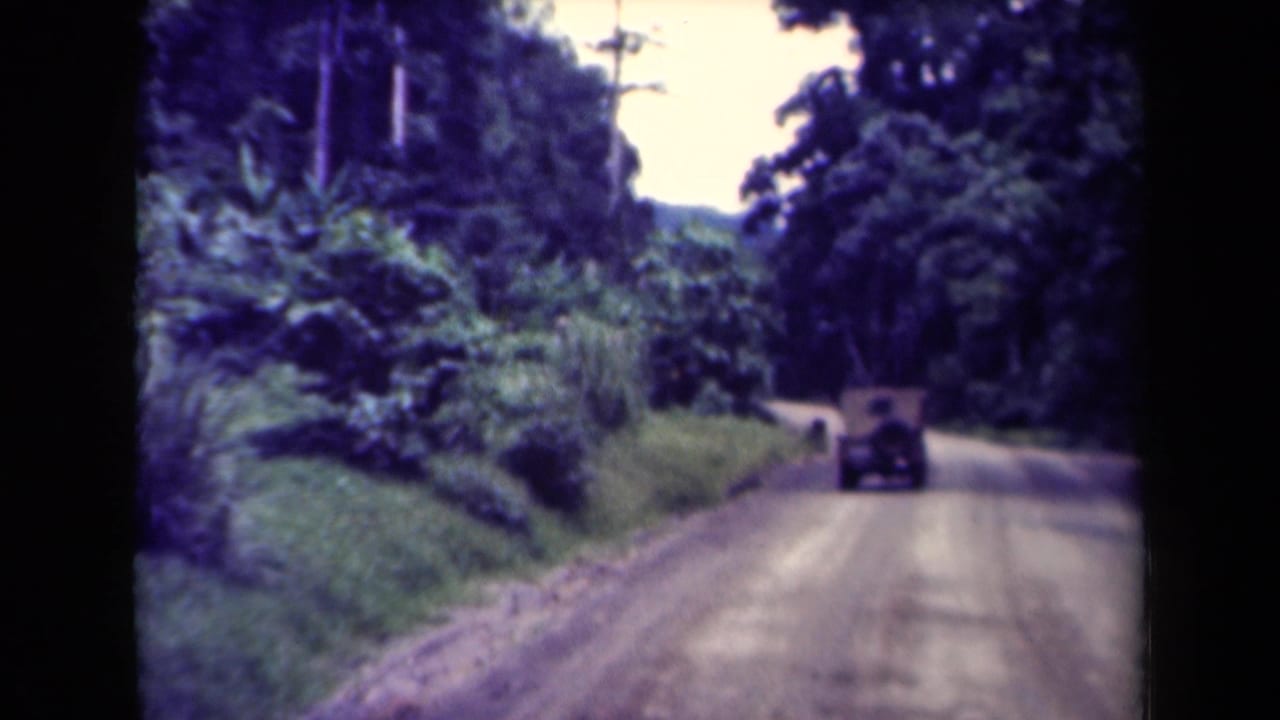 Jeep farther ahead on a curving dirt road through thick roadside greenery.