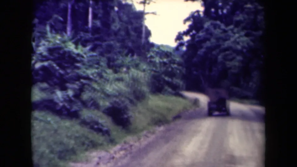 A soft 8mm frame shows a jeep traveling along a winding dirt road amid dense tropical plants in Papua New Guinea.