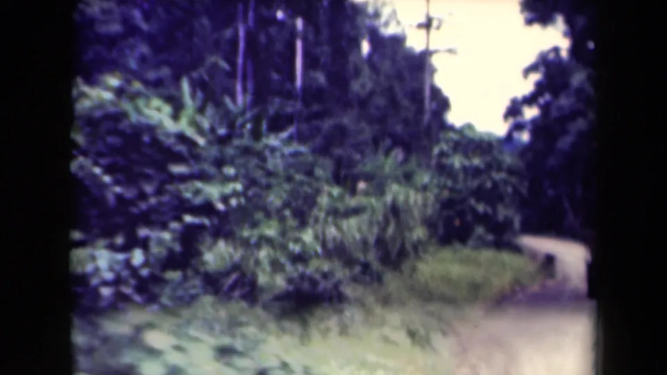 Dense tropical foliage fills the roadside as the jeep rounds a bend on a Papua New Guinea dirt road in 1944 footage.