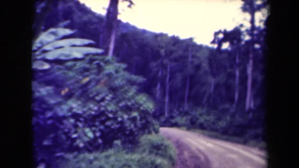1940s Papua New Guinea 8mm frame of a curving dirt road framed by jungle plants, tree trunks, and a forested hillside.
