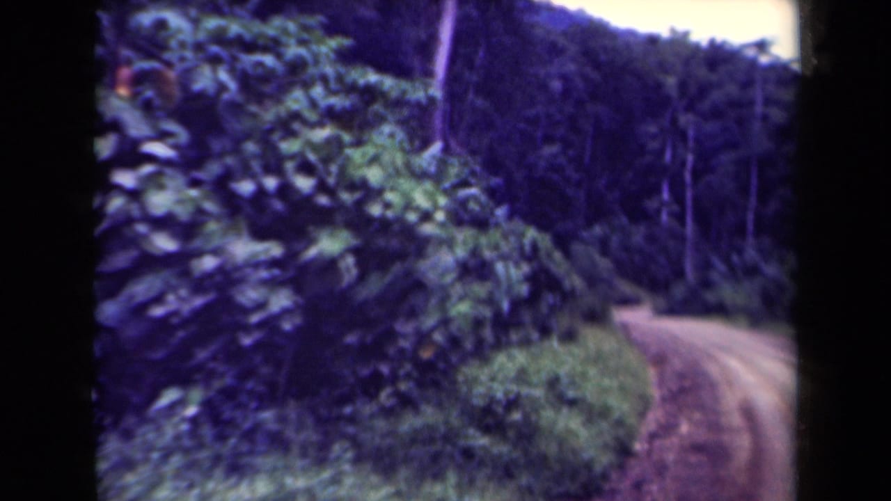 1940s Papua New Guinea 8mm view of a narrow dirt road bordered by dense green growth and dark forested slopes.