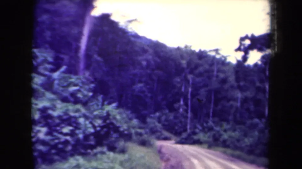 Soft 8mm frame from Papua New Guinea showing dense forest rising above a pale dirt road, with heavy purple color cast.
