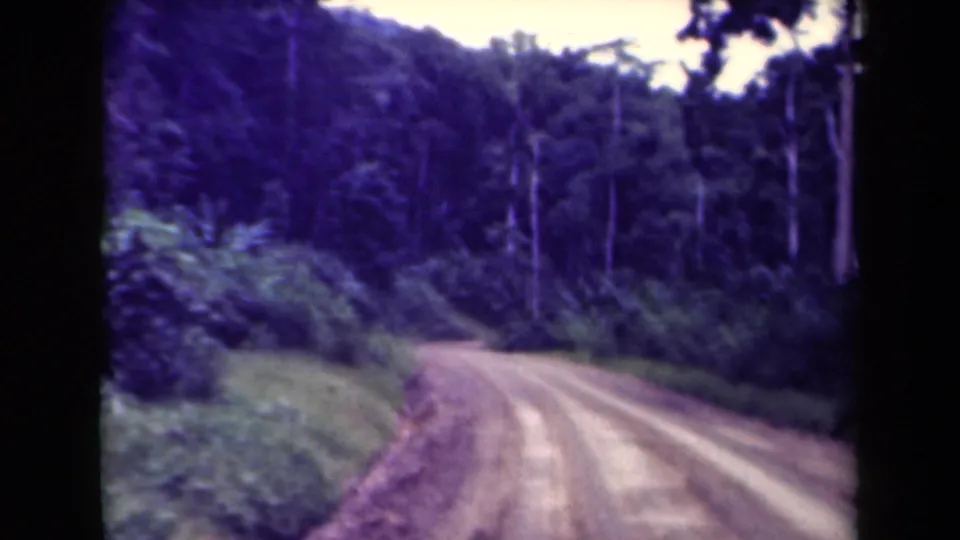 1940s Papua New Guinea home-movie frame of a broad unpaved road curving between forested banks and tall trees.