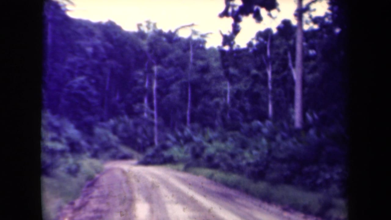 1944 Papua New Guinea home-movie frame of a winding dirt road flanked by tropical vegetation and tall trees.