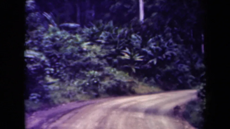 1944 Papua New Guinea 8mm frame with tropical roadside plants and a dirt road viewed from a moving vehicle.