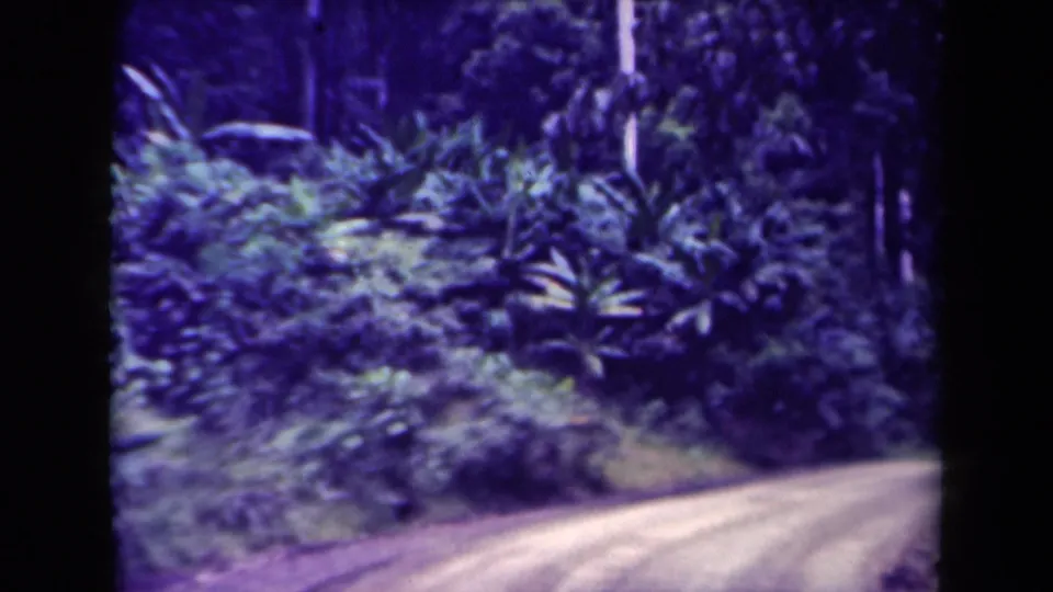 1944 Papua New Guinea home-movie frame showing thick forest vegetation beside a pale dirt road curve.