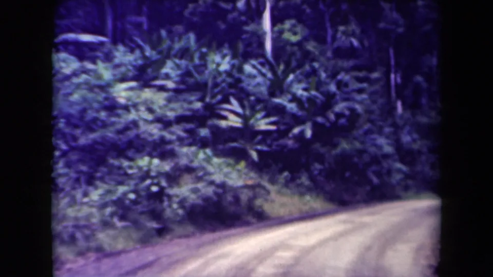 1940s Papua New Guinea 8mm frame showing a curving dirt road through dense tropical vegetation.