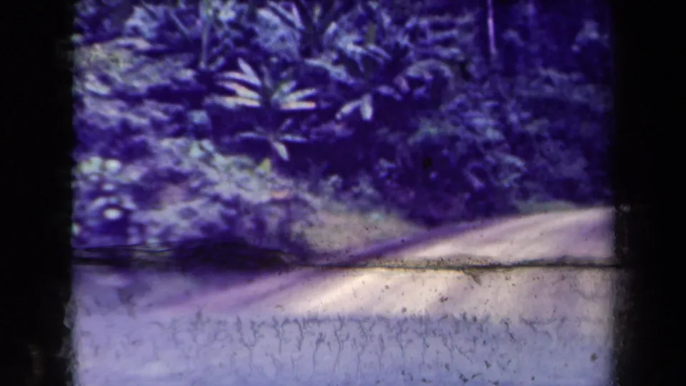 1940s Papua New Guinea road view with thick plants lining the bend and visible 8mm frame borders.