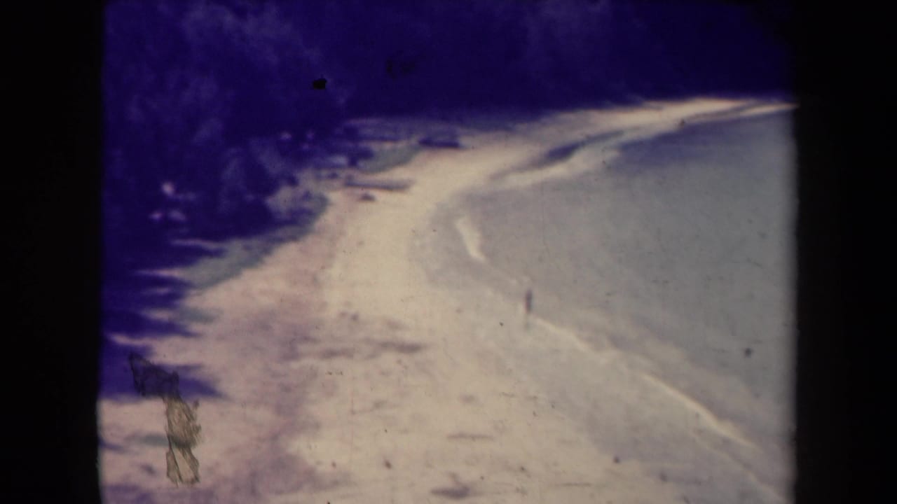 Curving paved road beside a pale shoulder with dark vegetation along the left edge.