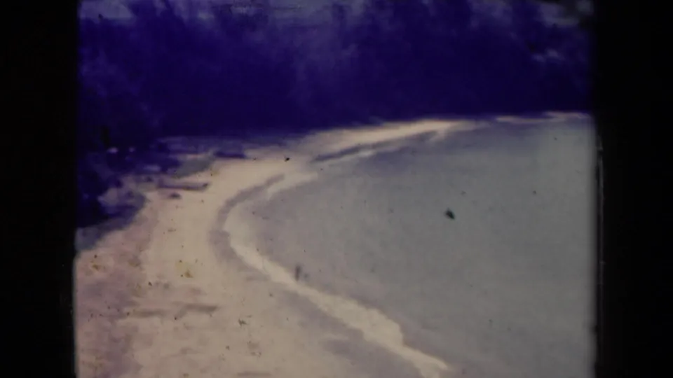 Kauai 8mm frame with a pale curving road, shaded roadside plants, strong color shift, dust specks, and visible film borders.