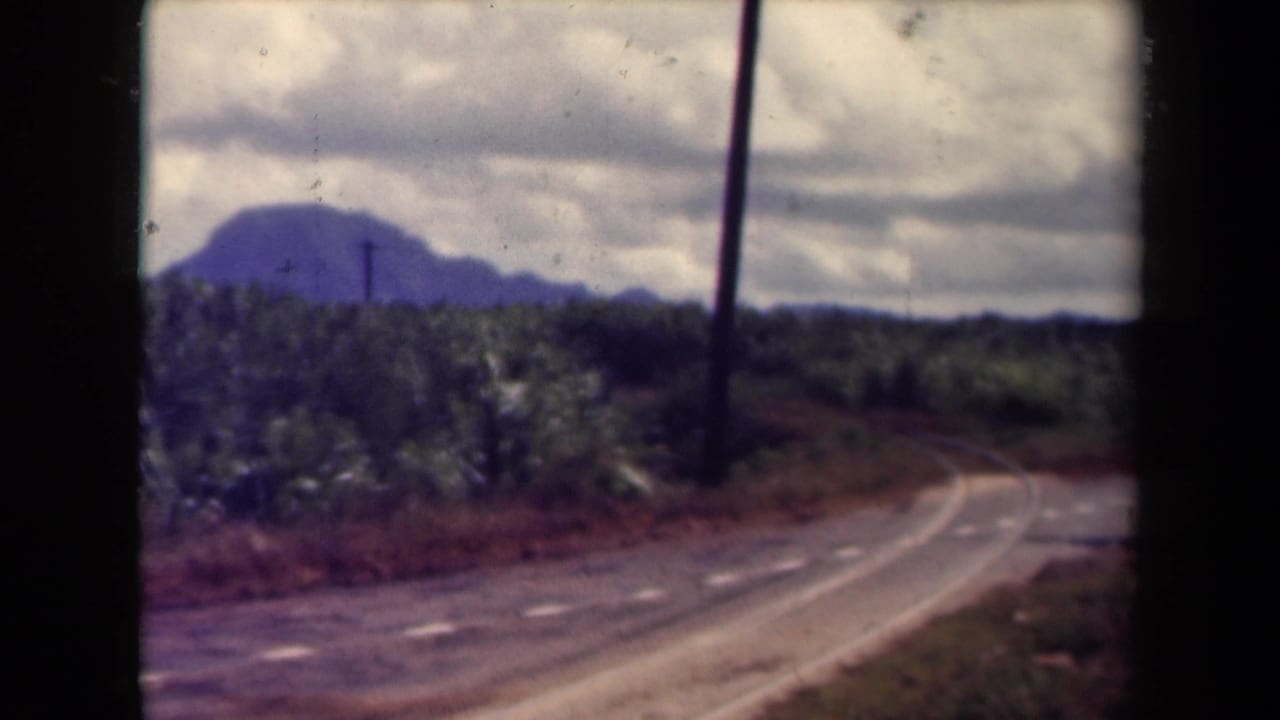 Curving roadside with fields, utility poles, distant mountain, and cloudy sky.