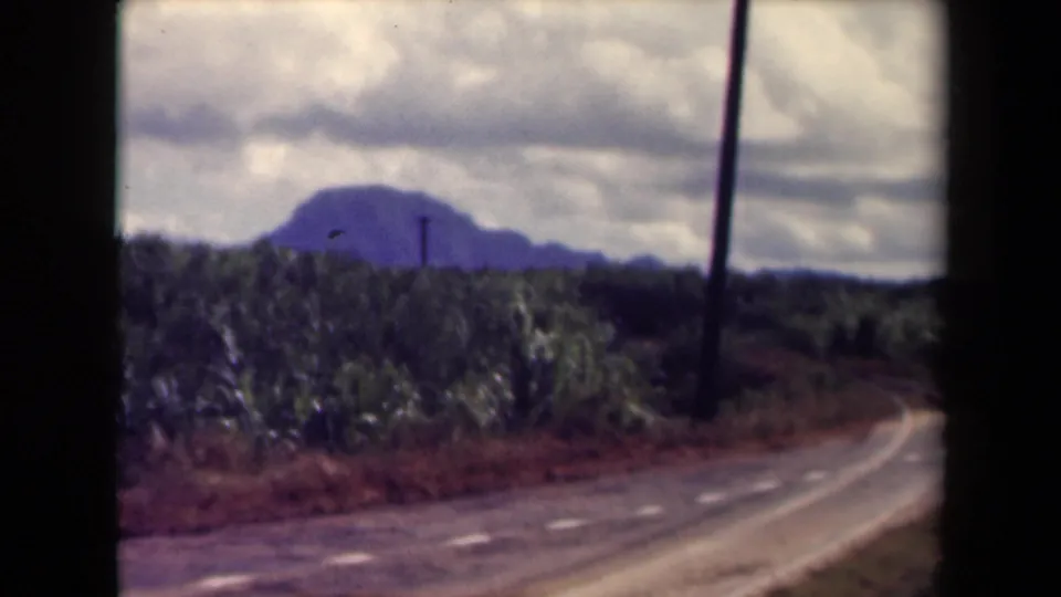 1944 Kauai home-movie frame with dense roadside fields, a distant mountain, utility poles, and a road curving out of view.