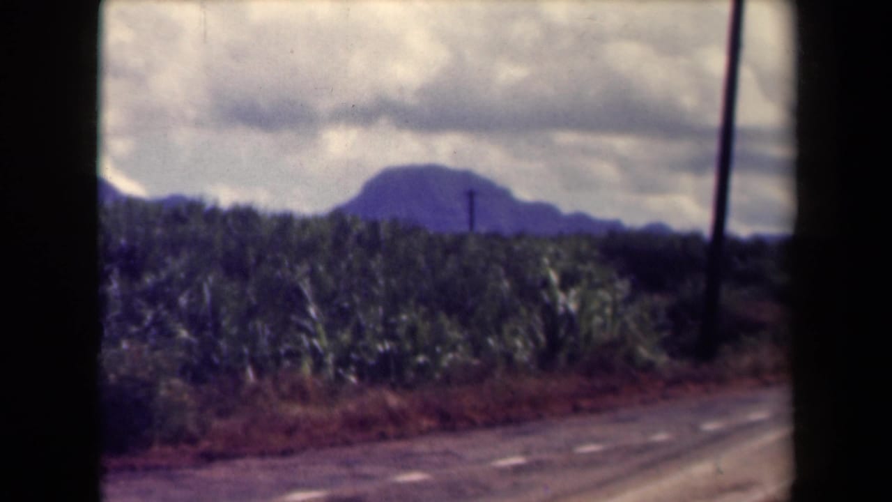 Rural road beside a dense crop field with distant mountains and cloudy sky.