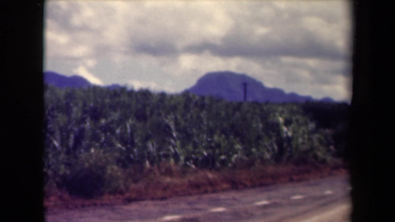 1944 Kauai frame with a roadside crop field, low mountains on the horizon, cloudy sky, and visible 8mm frame edges.
