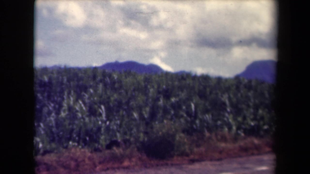1944 Kauai 8mm frame showing a dense plantation-like field, cloudy sky, and mountain horizon beyond a roadside foreground.