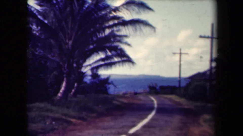 1944 Kauai road scene with palm trees along a curving roadside, utility poles, distant mountains, and bright sky.