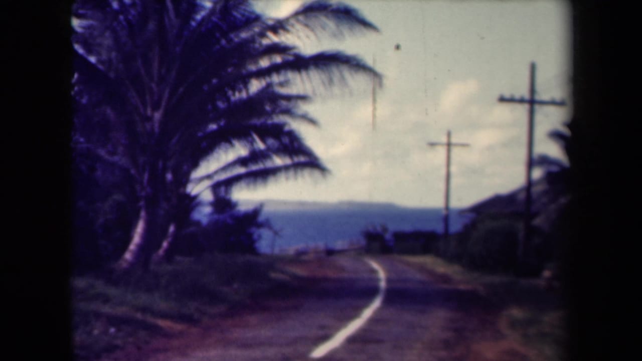 1944 Kauai 8mm frame showing a winding roadside view with palms, wooden utility poles, and a distant horizon.