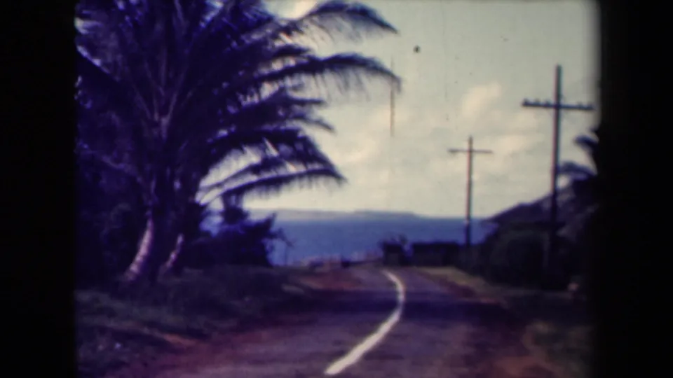 1944 Kauai 8mm frame showing a winding roadside view with palms, wooden utility poles, and a distant horizon.