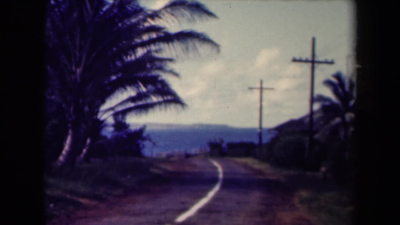 Palm fronds frame a curving road with utility poles and a distant blue horizon.