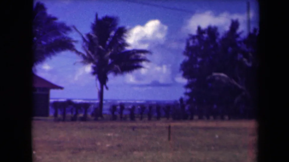 Palm-lined beach view with lawn, ocean, clouds, and distant shoreline in archival Kauai, Hawaii footage.