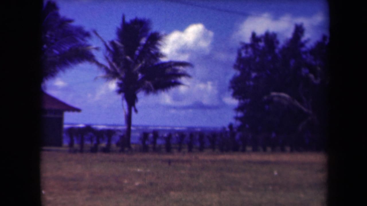 1944 Kauai 8mm frame showing palms over a grassy coastal foreground, ocean horizon, white clouds, and a low roofed structure at left.