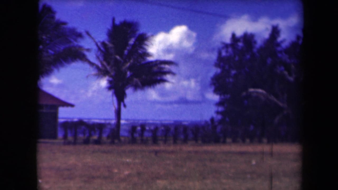 1944 Kauai 8mm frame with a central palm, blue-purple sky, ocean beyond, and distant dark silhouettes along the shoreline.