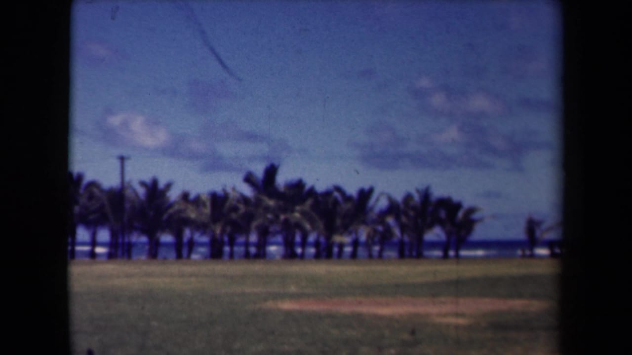 Grassy field facing palm trees with ocean and cloudy sky beyond.