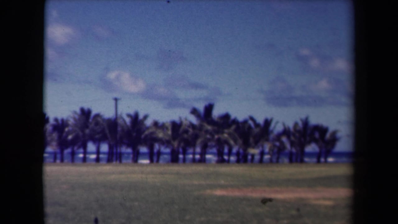 1944 Kauai home-movie frame of palms bordering the ocean, with open grass in the foreground and a blue, clouded sky.