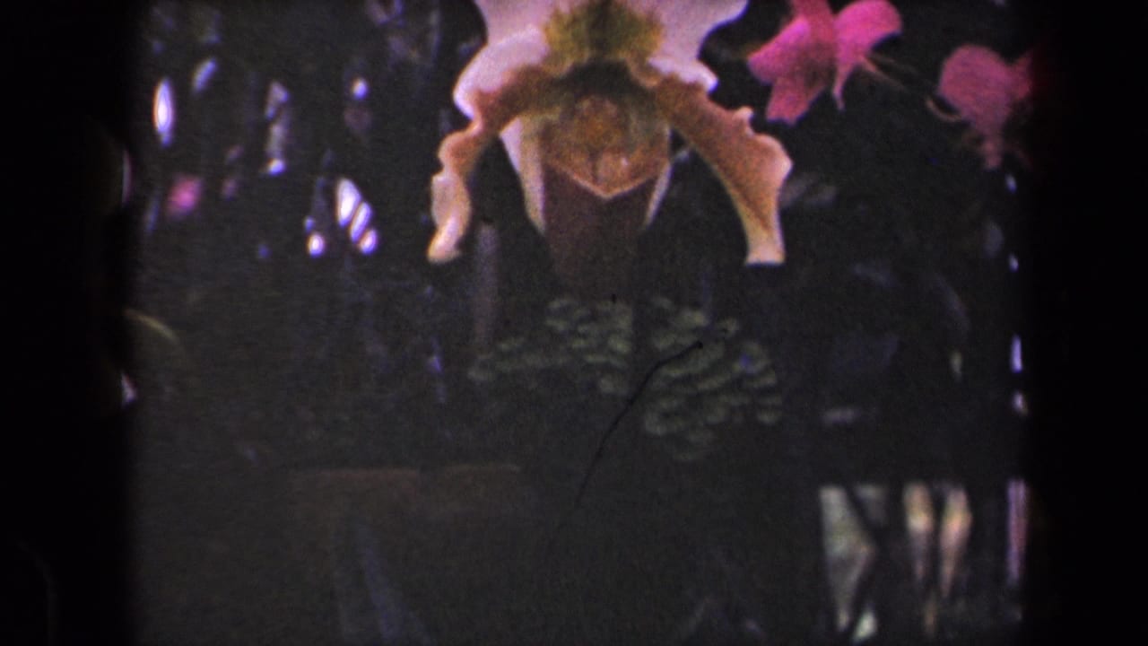 1944 Hawaii home-movie frame with the orchid partly cropped near the top and shadowed foliage filling the background.