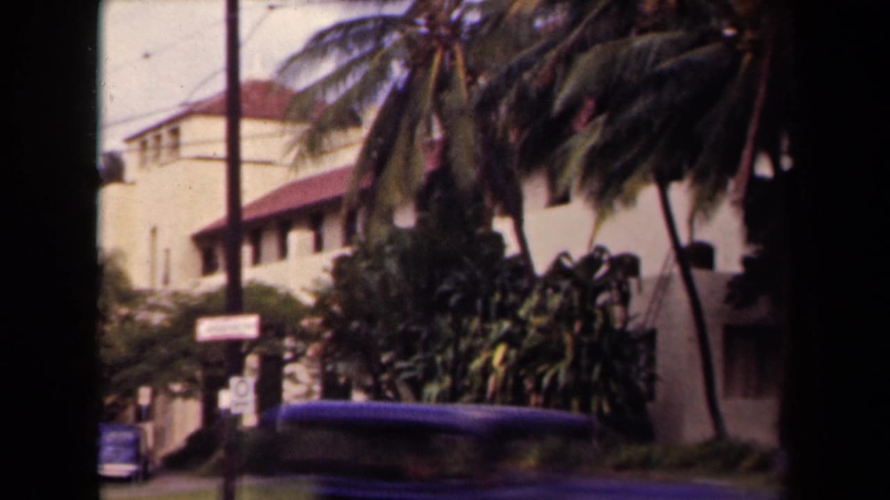 Palm trees and a pale stucco building beside a roadside sign and car roof.