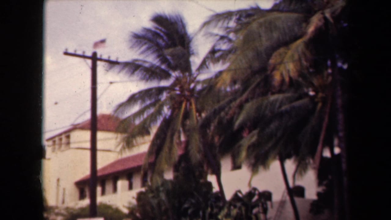 1944 Kauai street view with palms blowing near a utility pole, an American flag, and a pale red-roofed building.