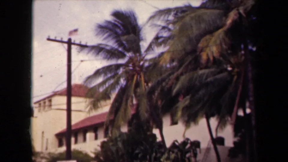 1944 Kauai street view with palms blowing near a utility pole, an American flag, and a pale red-roofed building.