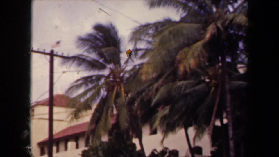 1944 Kauai frame focused on windblown palm fronds, a pale building, red roofline, utility pole, and soft 8mm grain.