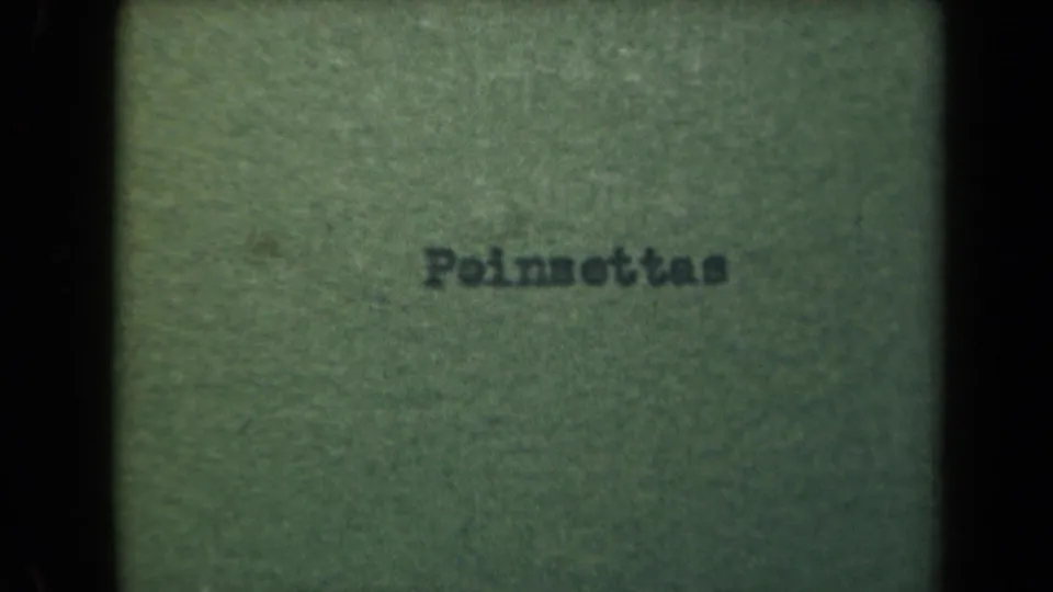8mm home-movie title card reading Poinsettias on a green textured background, following the Kauai street view.